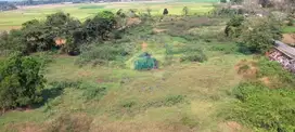 Jual Tanah di Desa Dangdeur, Jayanti,Tangerang - Banten
