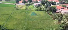 Jual Tanah di Desa Dangdeur, Jayanti,Tangerang - Banten
