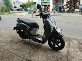 Scoopy energetic 2025