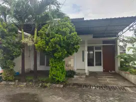Disewakan rumah di perumahan Firdaus Mansion Blok M no 1 Jombang