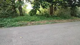 Jual tanah di Cisauk dekat BSD