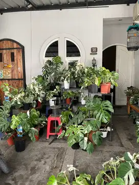 Dijual Rumah di Permata Taman Sari Asri Bandung, Cantik dan Aesthetic