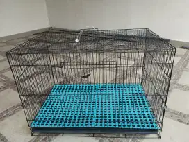Kandang Hewan & Kennel Box