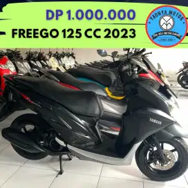 FREEGO 125 CC 2023/YADNYA MOTOR