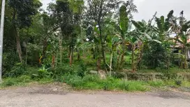 Dijual tanah Pekarangan