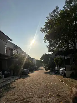 Dibutuhkan segera Art kelapa dua depok