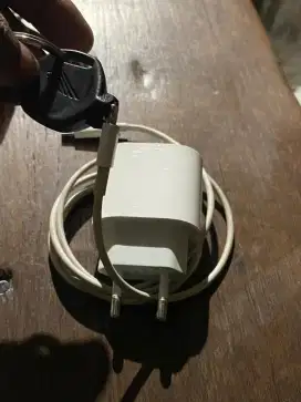 Charger Iphone 20wat Fastcharging Original