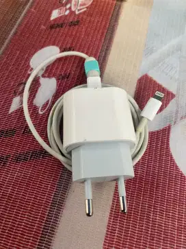 Charger Iphone 20wat Fastcharging Original