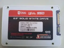 Ssd 1 tera mulus ori