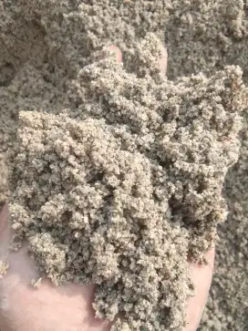 Pasir Rangkas Cimarga isi 7 kubik. Full padat
