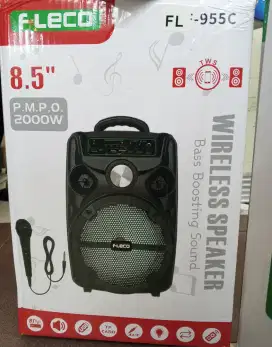 Speaker karaoke wireless