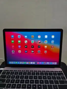Macbook Retina 12 Inch Rose Gold