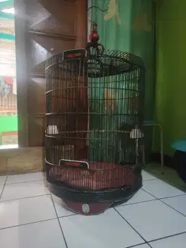KANDANG MURAI RAFI JAYA NO.1