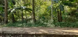 Jual tanah pingir jalan luas 215tmbk srt ajb lokasi ajasari banjaran