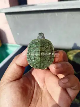 RES AKA Brazil size aman