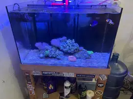 Aquarium air laut