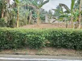 Dijual tanah pangenrejo purworejo jateng