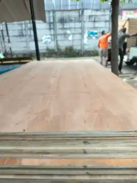 Triplek dan Kayu Murah Sidoarjo