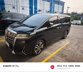 Jual cepat Alphard G 2020 AT