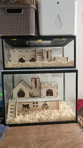 Kandang Hamster (M) dengan Aksesoris + Hamster Winter White Sepasang