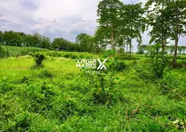 Tanah Strategis 3500m2 di Nol Jalan Raya Jetis Mojokerto