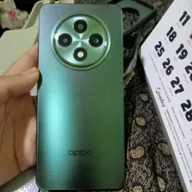 OPPO RENO 12F 8/256