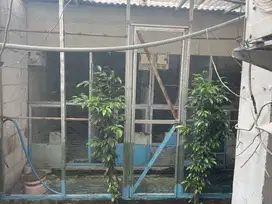 JUAL BORONGAN INDUKAN MURAI MEDAN SUPER