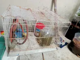 Kandang ayam atau burung ukuran besar