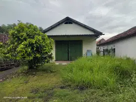 KELURAHAN REJENI, KREMBUNG SIDOARJO