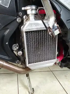 RADIATOR BPRO VARIO 125 150