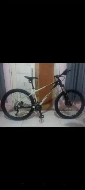 Polygon xtrada 6