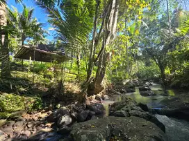 Dijual rumah semi villa view jugle dan sungai di tabanan Bali