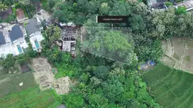 Tranquil 650 m² Leasehold Land in Peaceful Cepaka