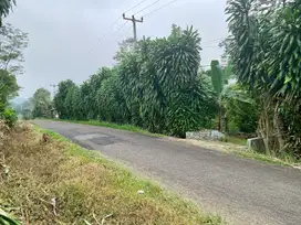 Dijual Murah Tanah Kebun 4300 m2 Pinggir Jalan di Purwakarta