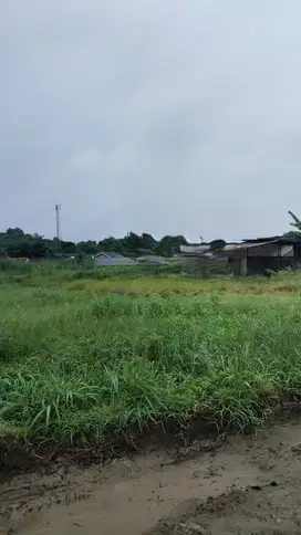 Tanah Luas 3998m di Gunung Sindur