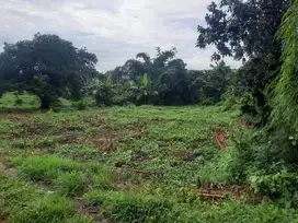 Dijual Tanah Luas 3 Hektar Singasari Jonggol Kab. Bogor