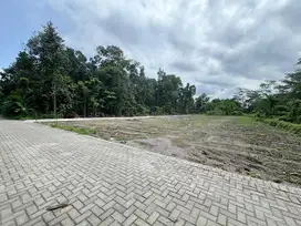 Tanah Jogja Utara Lingkungan Kos, Prospek Investasi