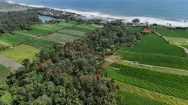Tanah Kavling Pantai Beraban Tabanan