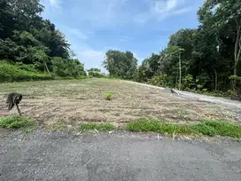 Tanah Siap Bangun, Lingkungan Kos Kampus UII Jogja