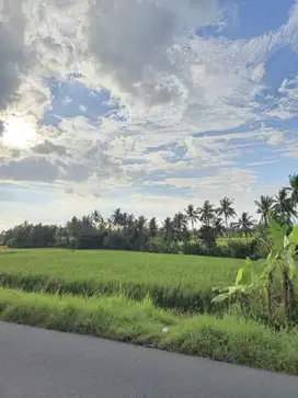 Jual Cepat Tanah eksklusif Dekat wisata tanah lot Tabanan Bali