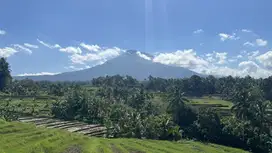 Di jual tanah dengan view gunung dan sawah terassering di tabanan