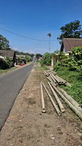 TANAH KEBUN SALAK PRODUKTIF DEKAT KOTA MALANG