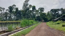 Tanah Mangku Jalan Sukoanyar Wajak Malang