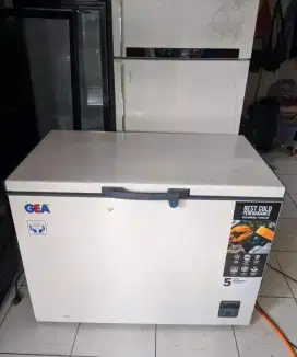 Freezer gea 310 liter