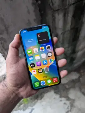 iPhone X 64Gb Termuraaahhh