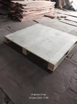 Pallet Triplek bekas