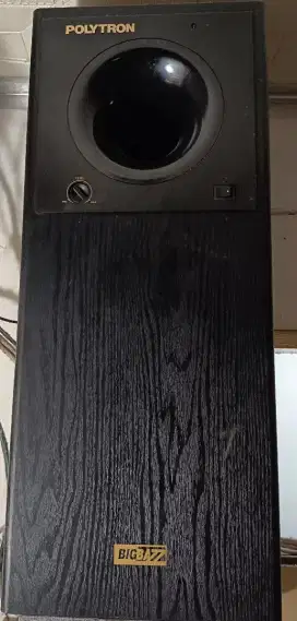 aktif subwoofer POLYTRON