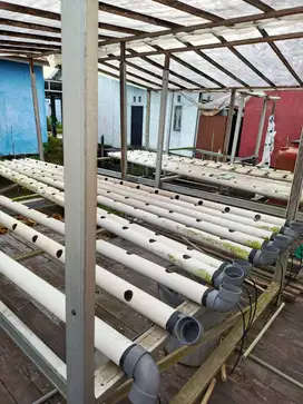 Paket Instalasi Hidroponik Siap Pakai (Lengkap)
