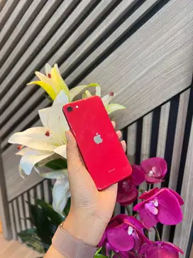 Iphone SE 2020 128gb red