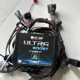ULTRABOOST I-ART 1GD/2GD